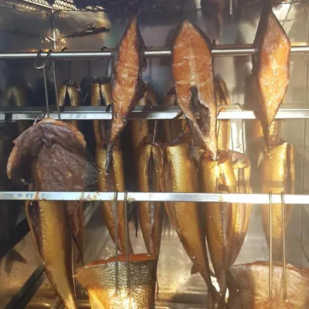 Feriepark Letniskowe Nemo