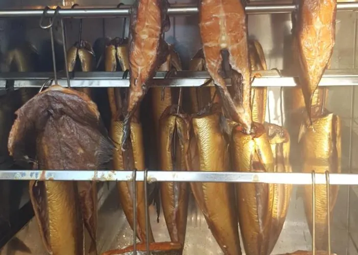 Parque de vacaciones Letniskowe Nemo